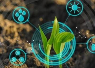 کوشش 19 شرکت دانش بنیان برای توسعه کشاورزی دیجیتال در کشور